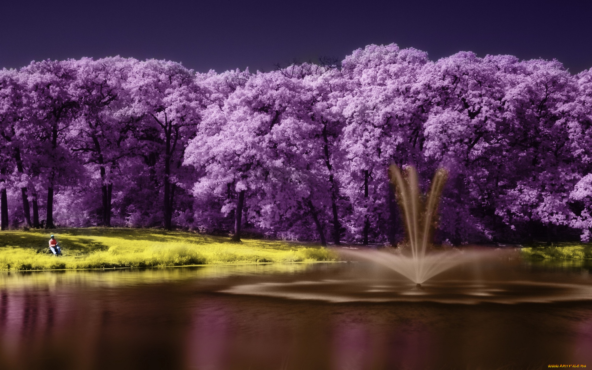 разное, компьютерный, дизайн, озеро, дерево, scenery, lake, фиолетовый, пейзаж, purple, tree