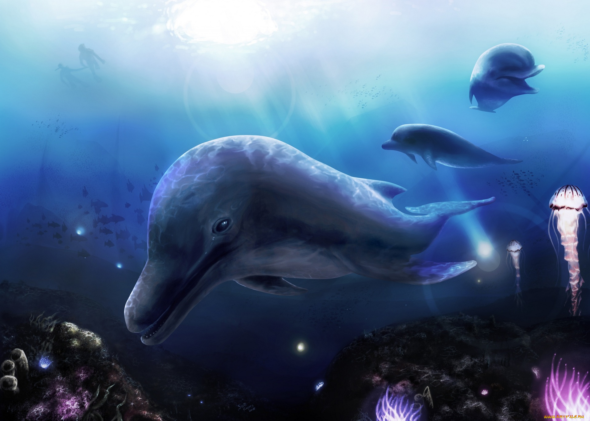 рисованное, животные, , дельфины, под, водой, дельфины, медузы
