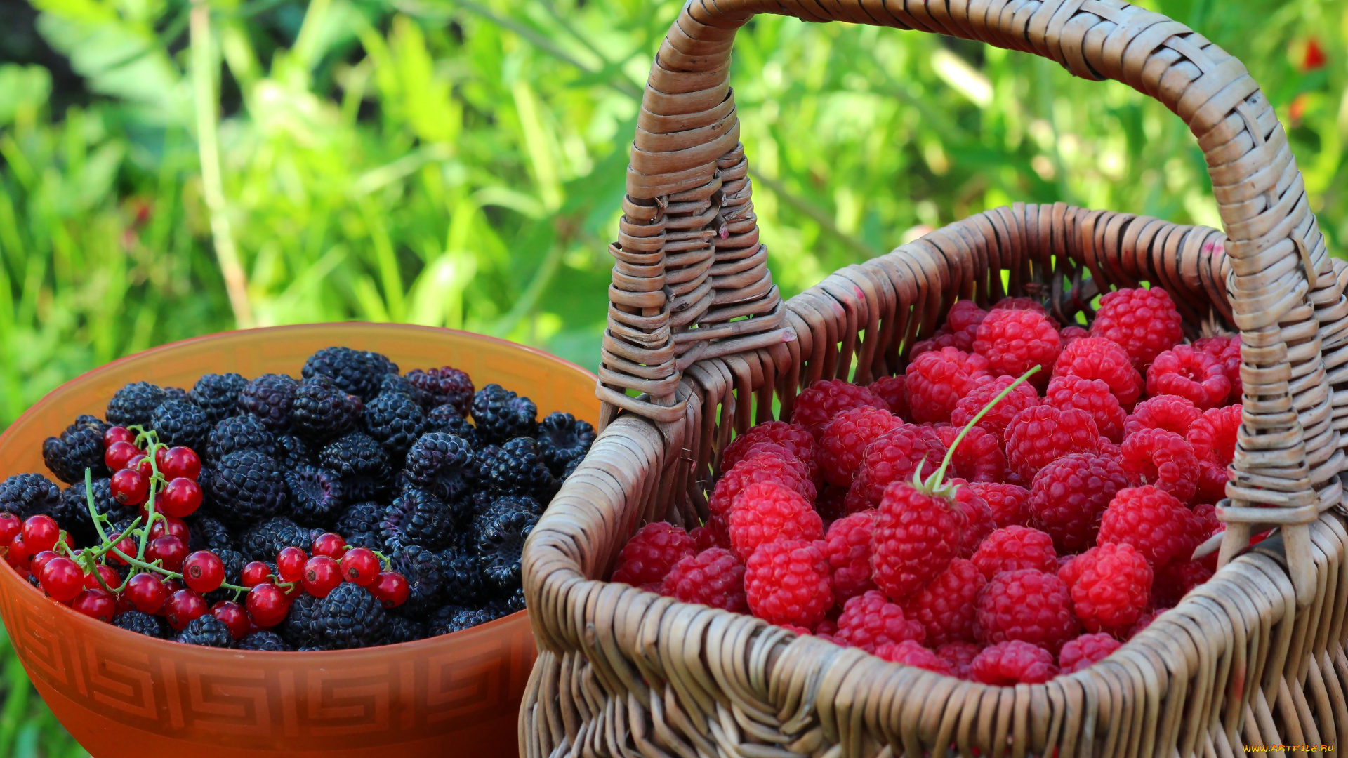 еда, фрукты, , ягоды, дача, витамины, ассорти, ягоды, урожай, лето, природа, вкусно