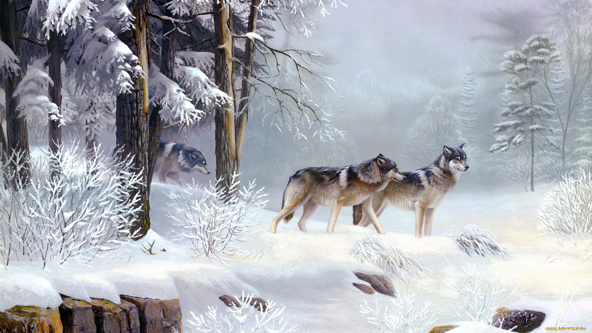 рисованные, leo, stans, волки, зимой