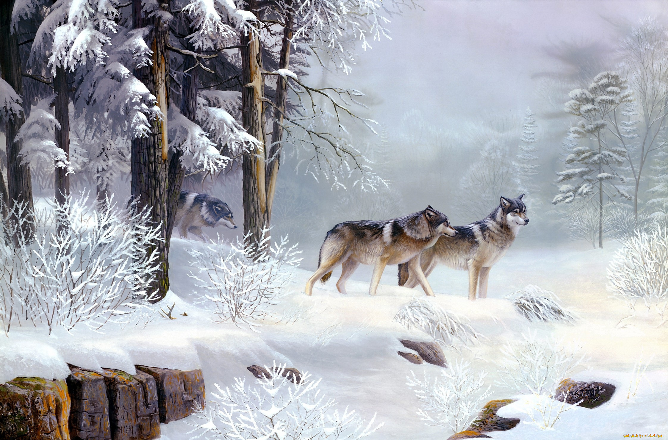 рисованные, leo, stans, волки, зимой