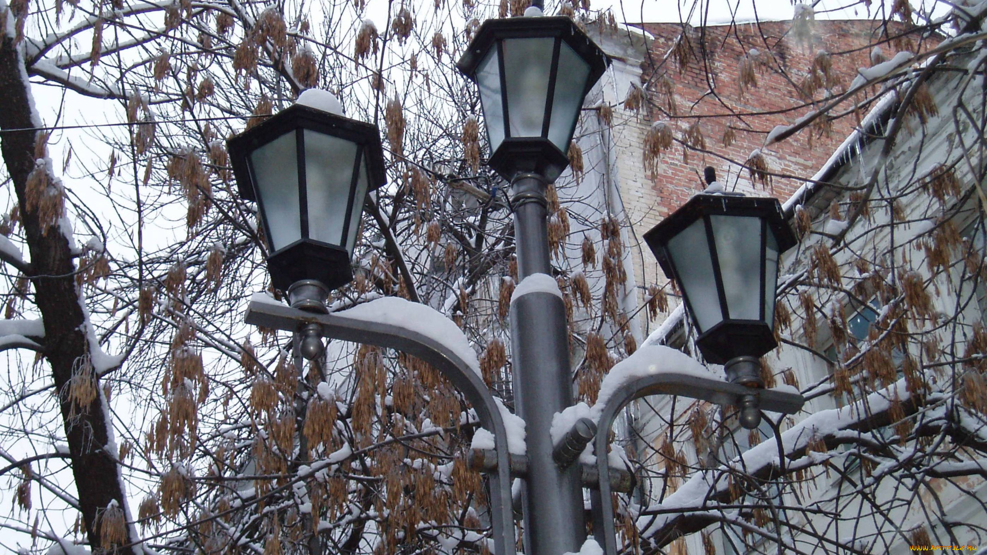фонарь, города, -, другое, город, городское, освещение, светильник, город, зимой, зимний, город
