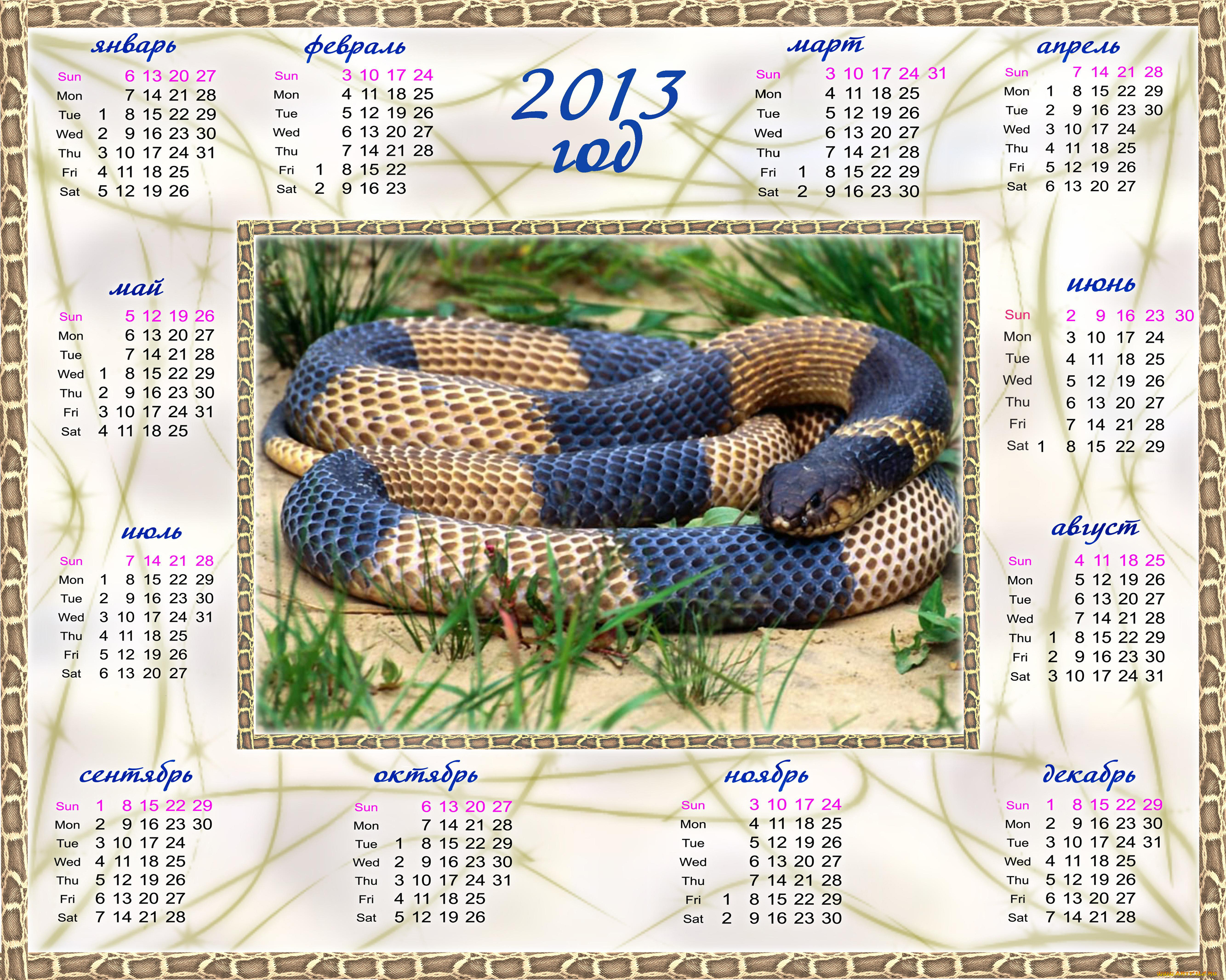 календари, животные, змея