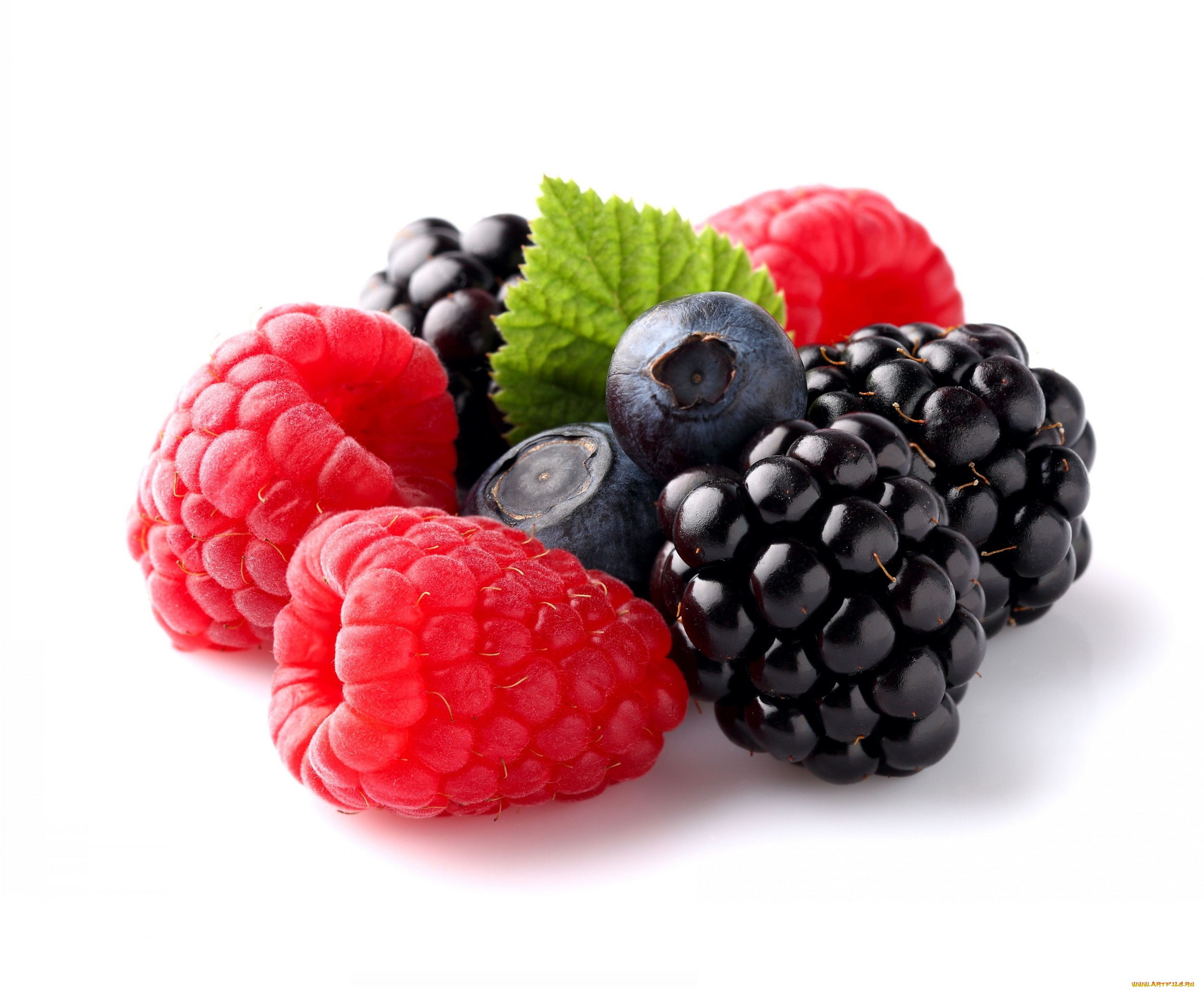 еда, фрукты, ягоды, клубника, ежевика, черника