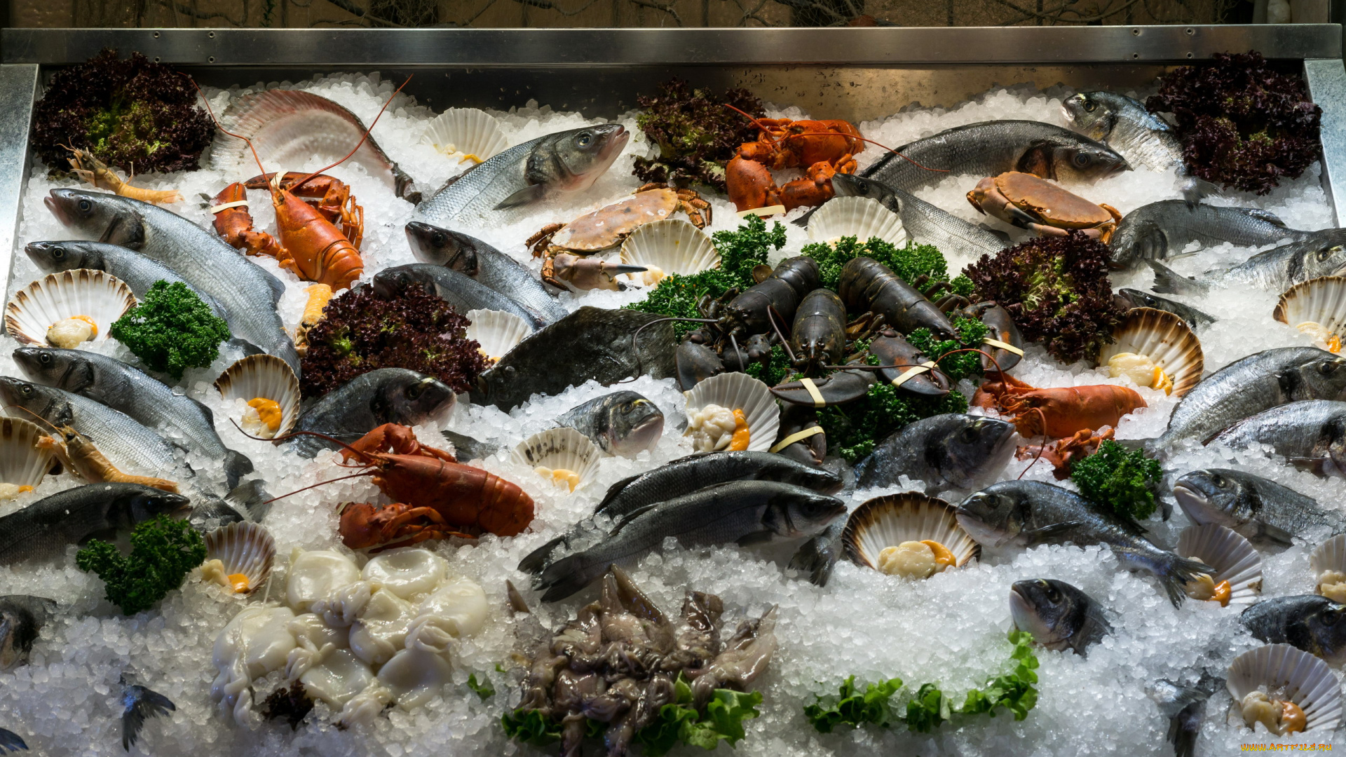 еда, рыба, , морепродукты, , суши, , роллы, лед, морепродукты, свежие, ассорти