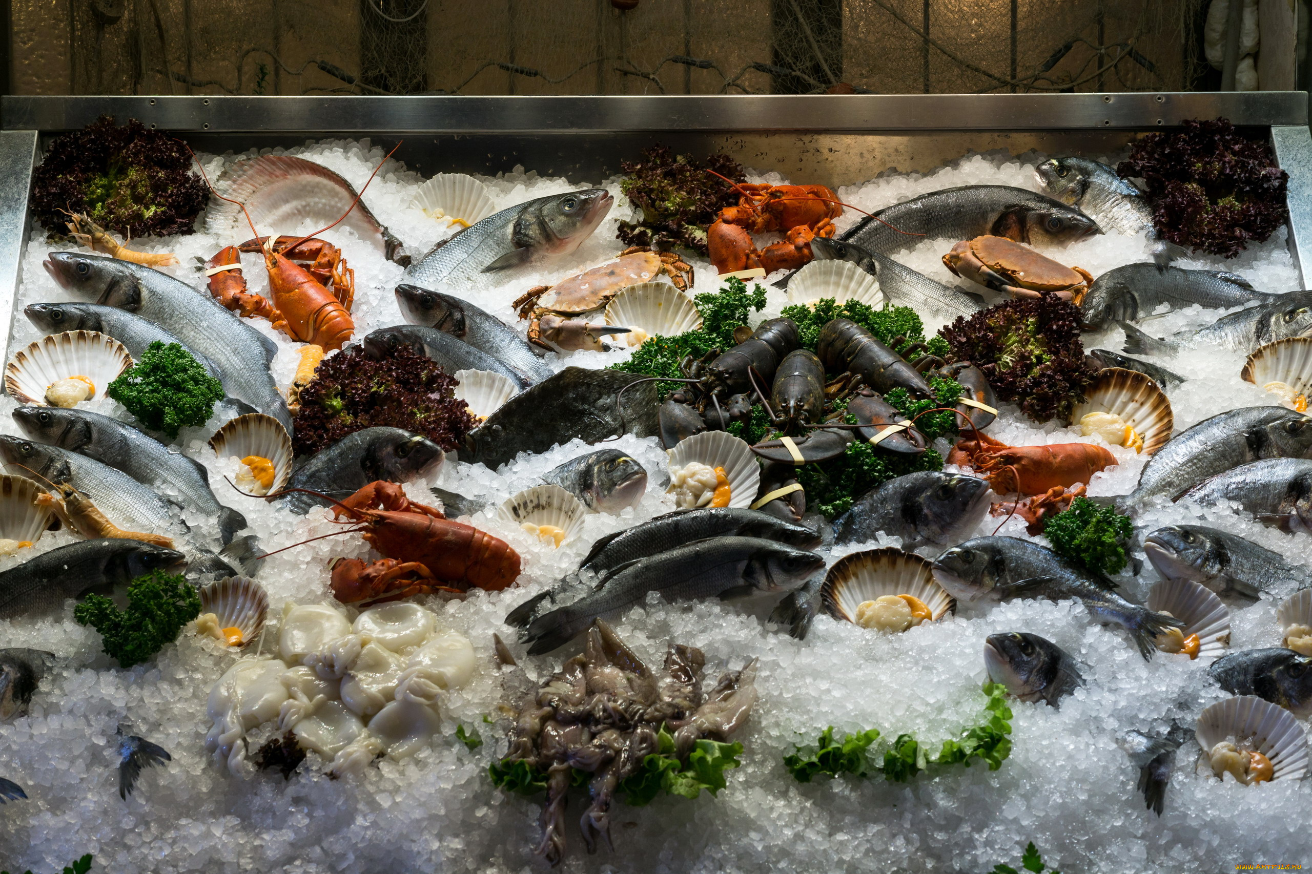 еда, рыба, , морепродукты, , суши, , роллы, лед, морепродукты, свежие, ассорти