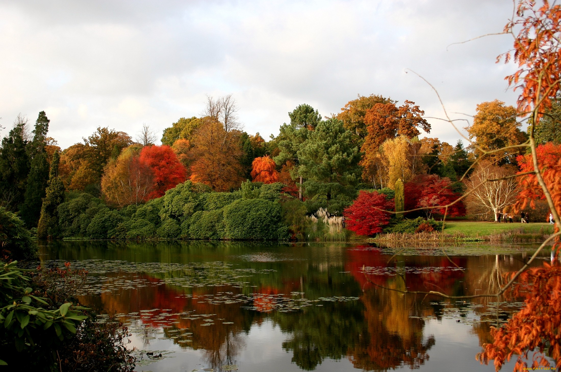 природа, реки, озера, осень, отражение, деревья, вода