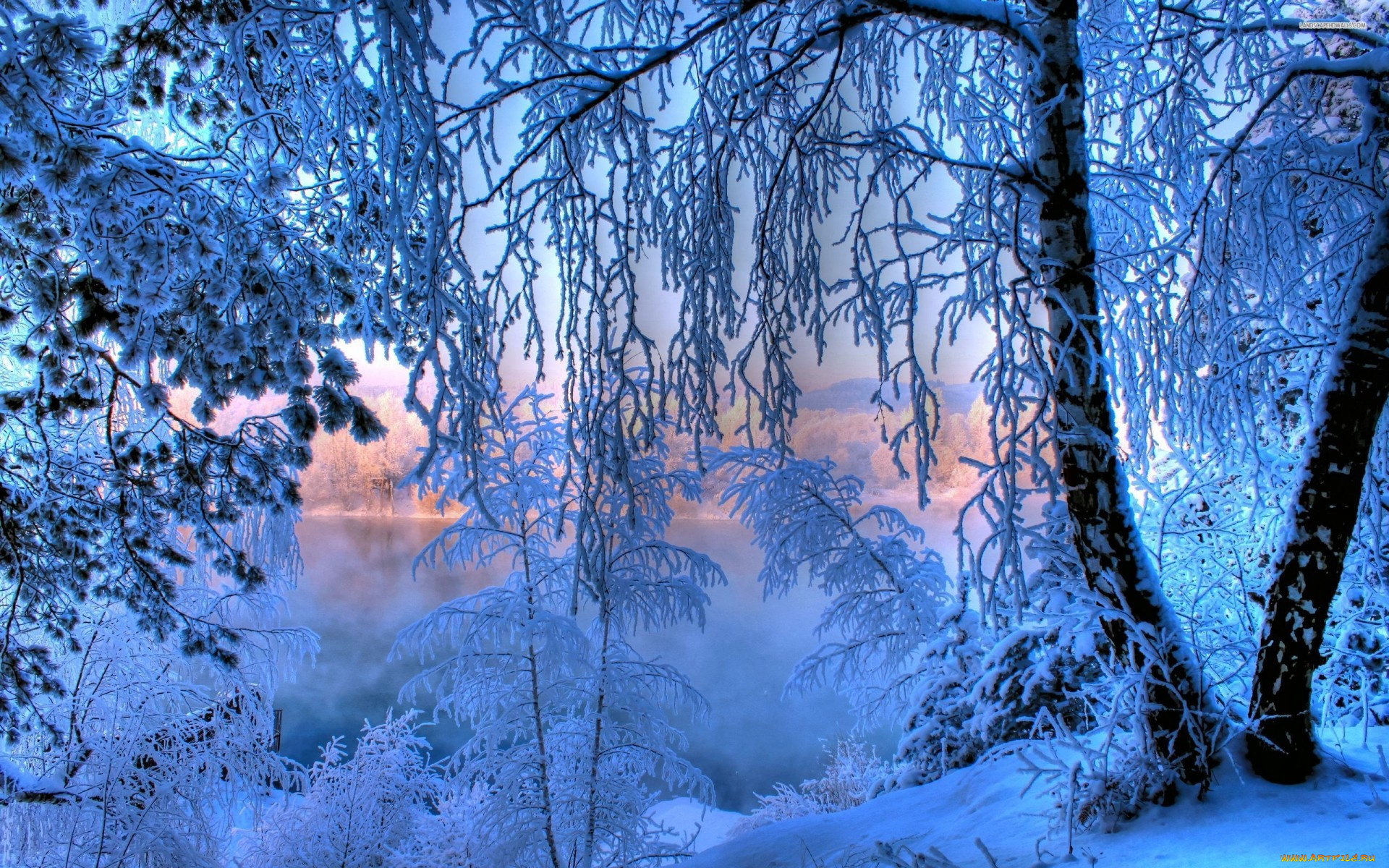 природа, зима, иней, мороз, озеро, лес, утро, снег