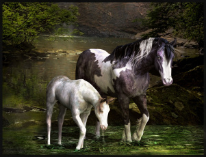 Картинка 3д графика animals животные лошади река