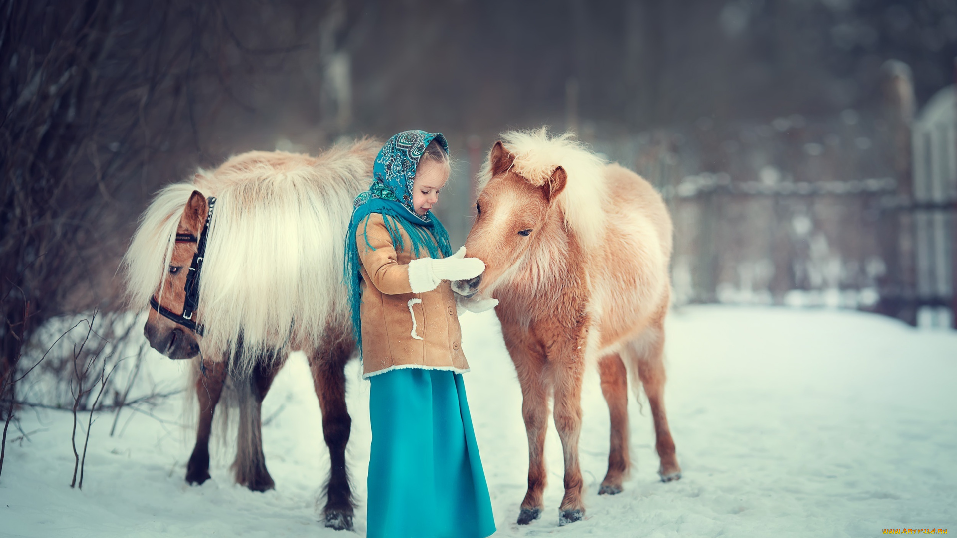 разное, дети, девочка, лошади, снег, зима
