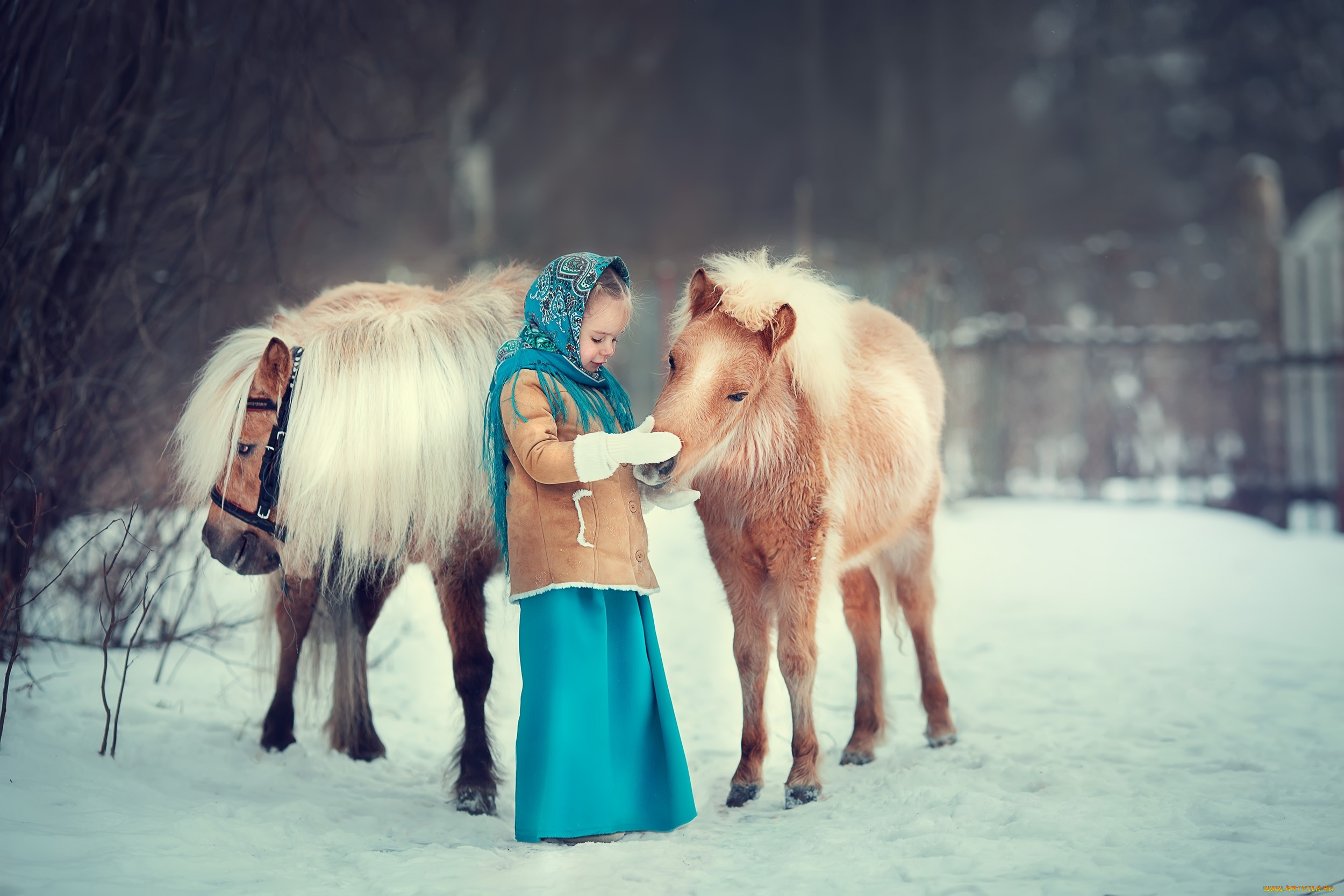 разное, дети, девочка, лошади, снег, зима