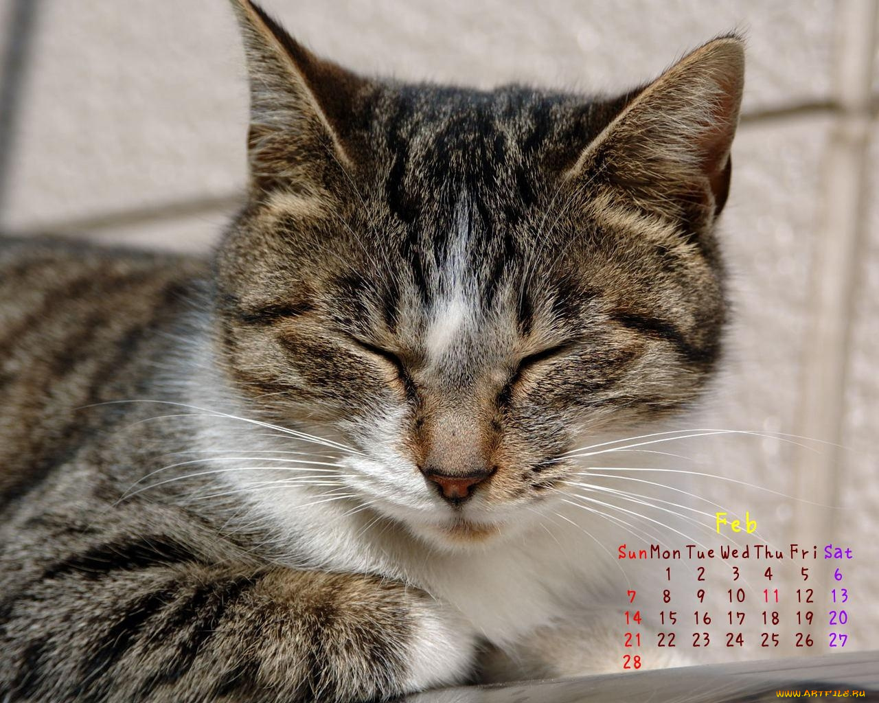 календари, животные