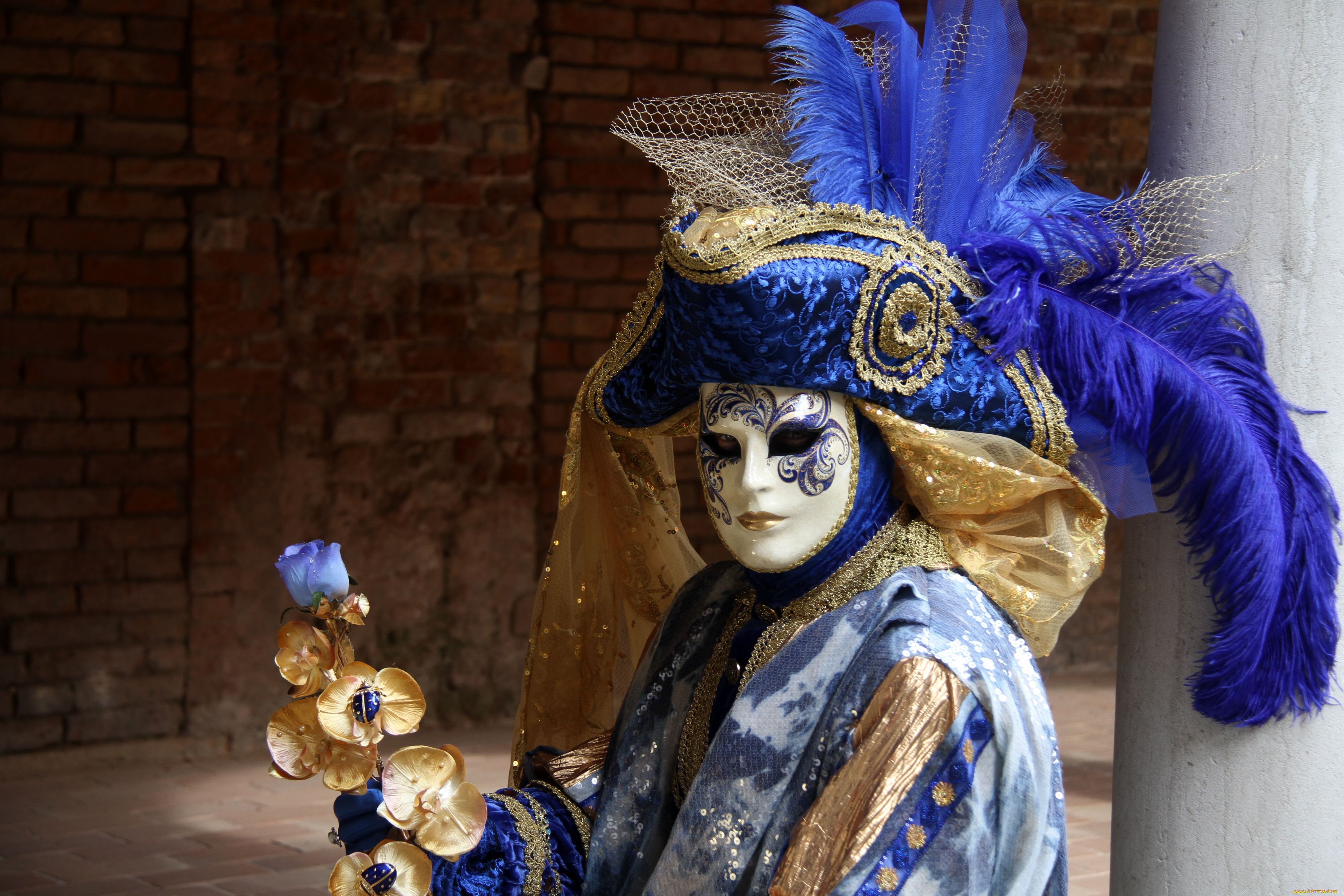 разное, маски, карнавальные, костюмы, венеция, перья, шляпа, карнавал, посох