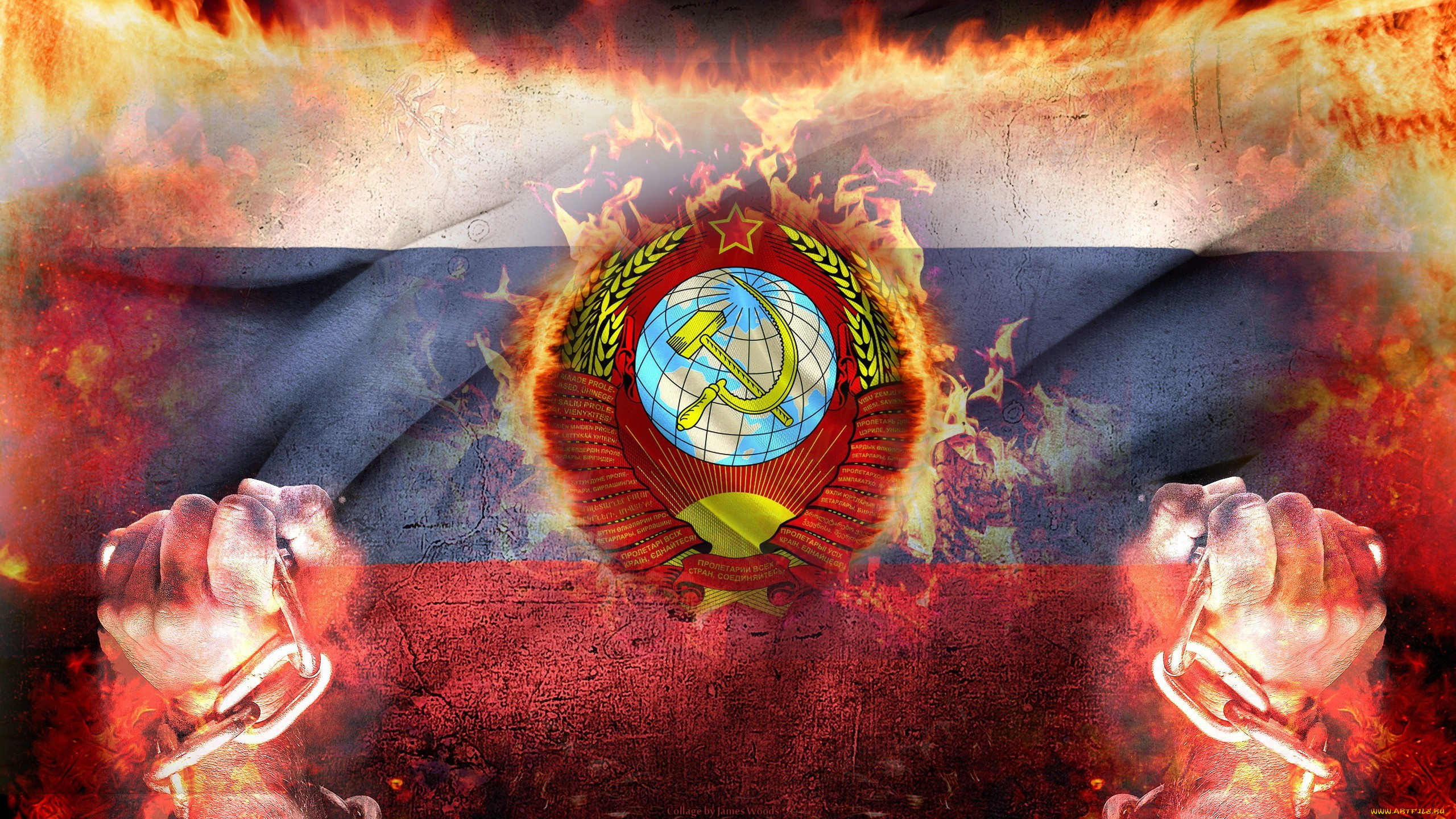 обои на рабочий стол русский медведь на фоне флага без смс №174759 обои на рабочий стол русский медведь на фоне флага № 174758 бесплатно