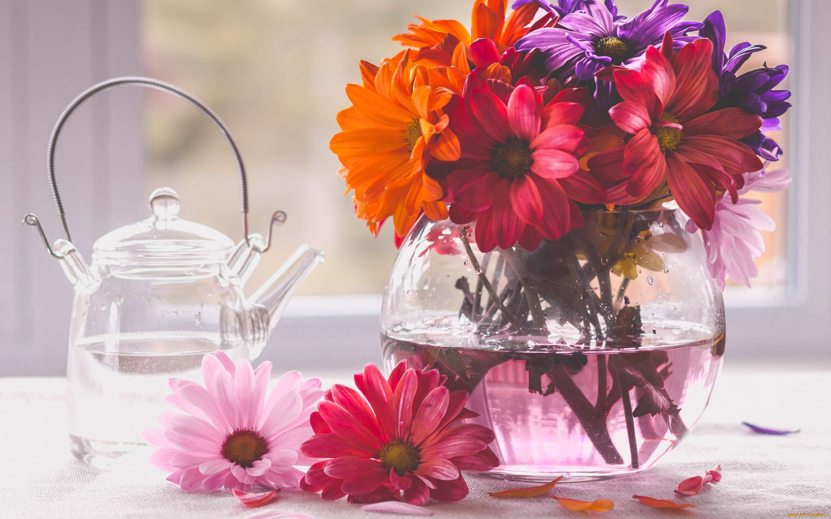 цветы, букеты, , композиции, чайник, ваза, букет