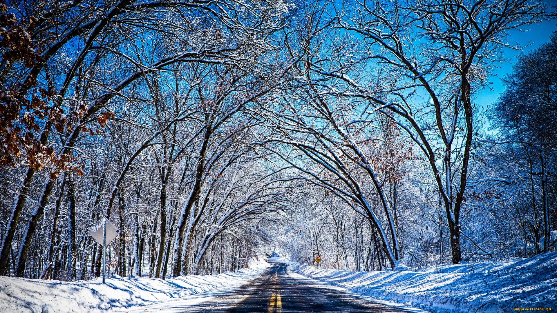 природа, дороги, лес, снег, дорога