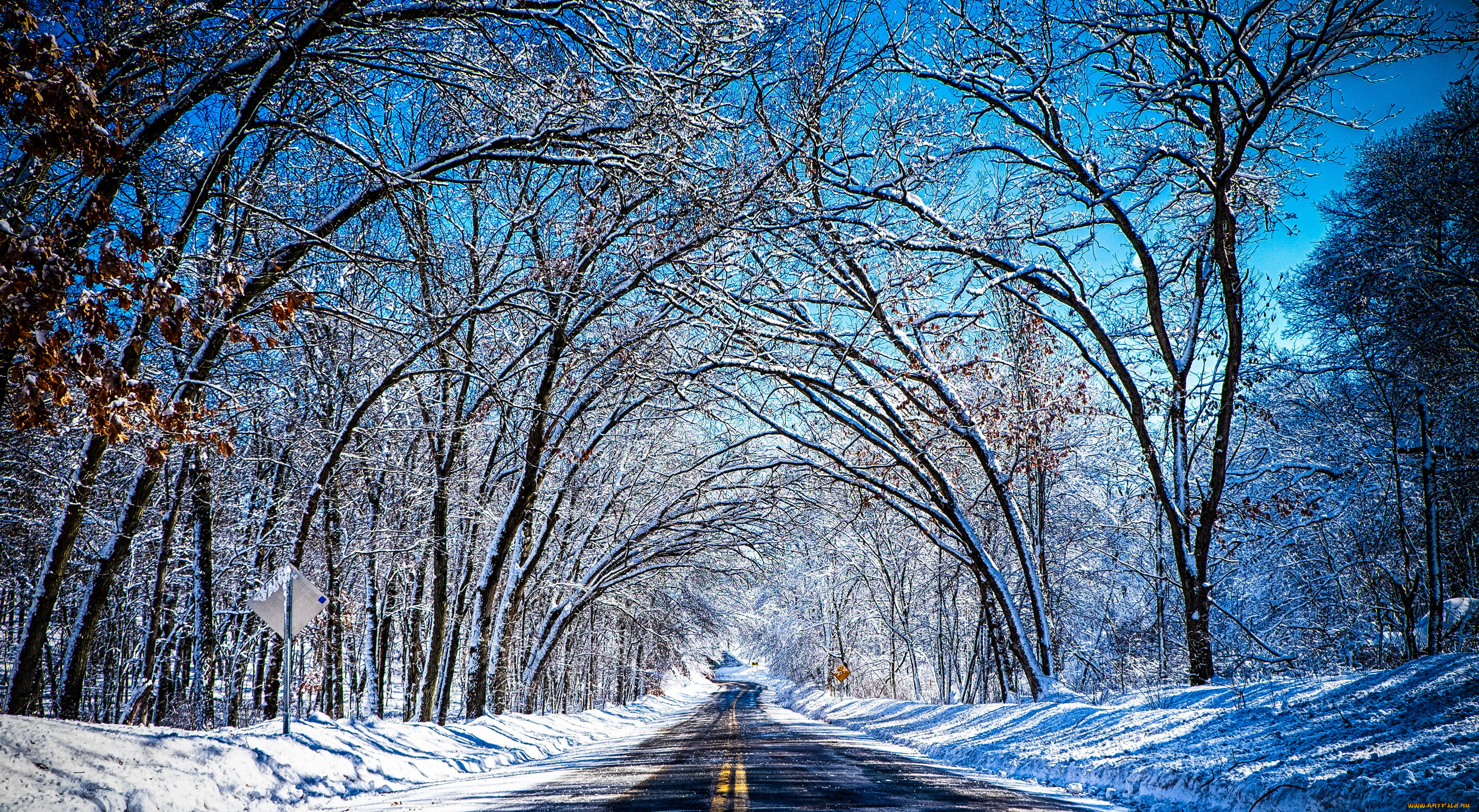 природа, дороги, лес, снег, дорога