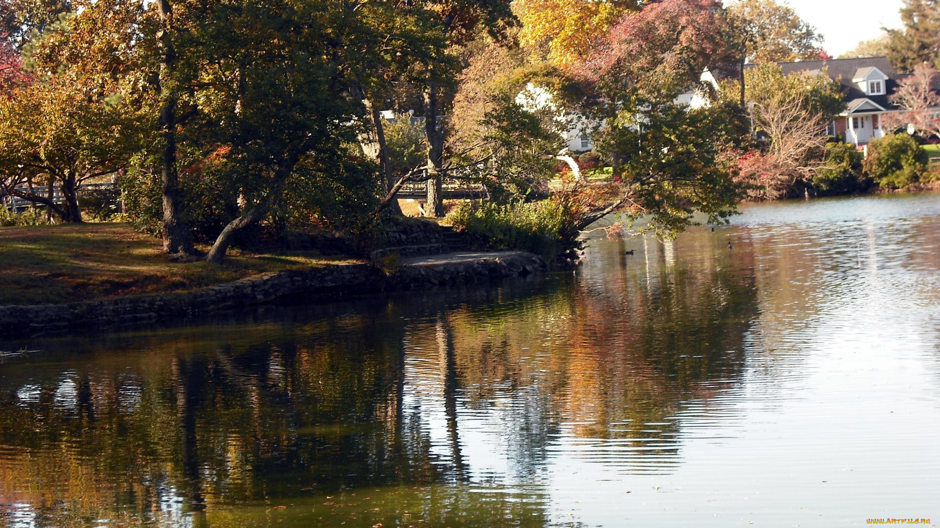 природа, реки, озера, осень, река, отражение