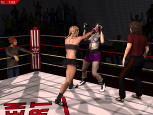 Картинка 3д+графика спорт+ sport девушки бокс ринг фон взгляд