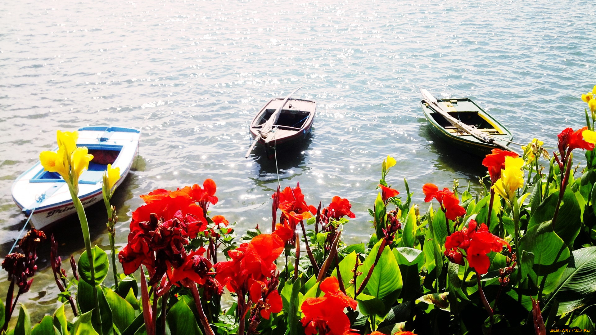 корабли, лодки, , шлюпки, озеро, цветы