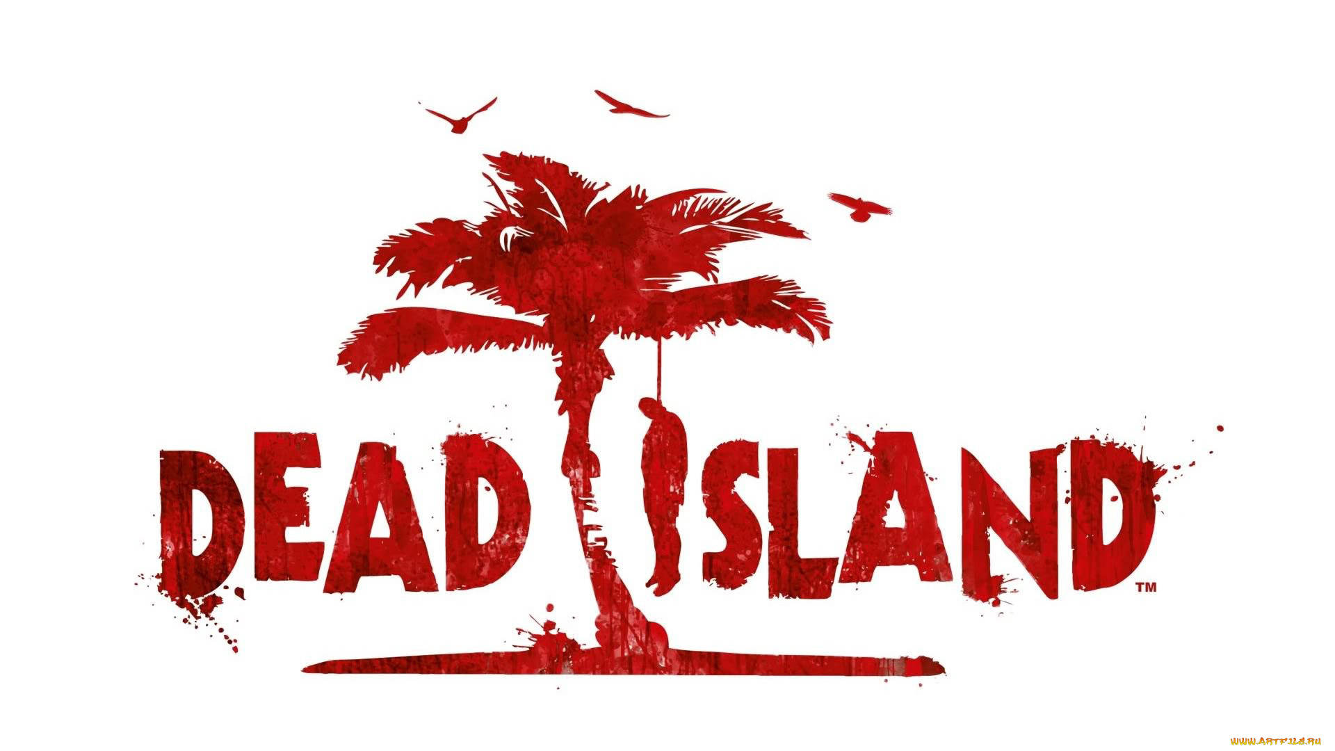 видео, игры, dead, island, dead, island, игра, шутер, экшен, хоррор