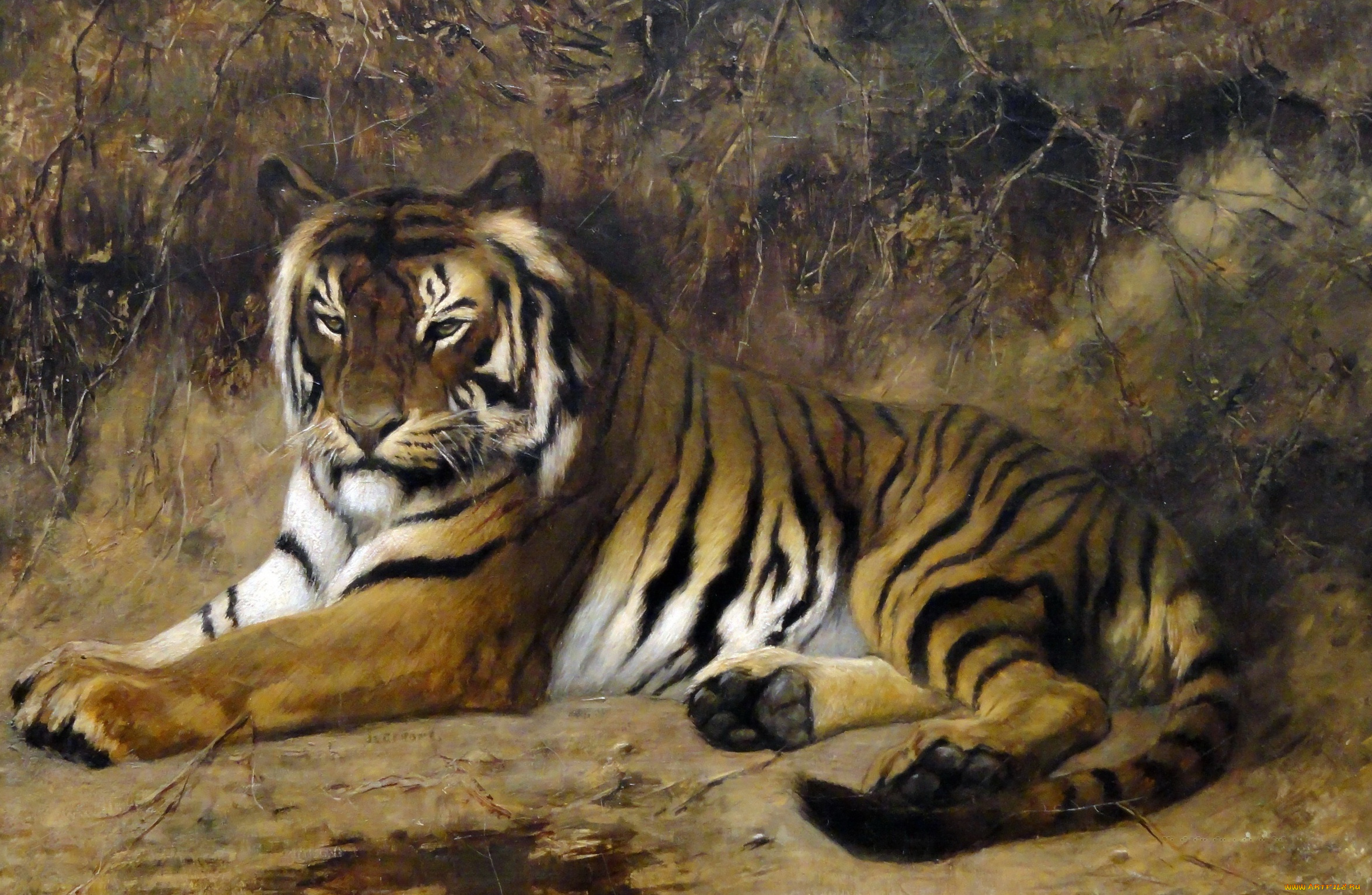 рисованное, животные, , тигры, тигр, кошка, жан-леон, жером, картина