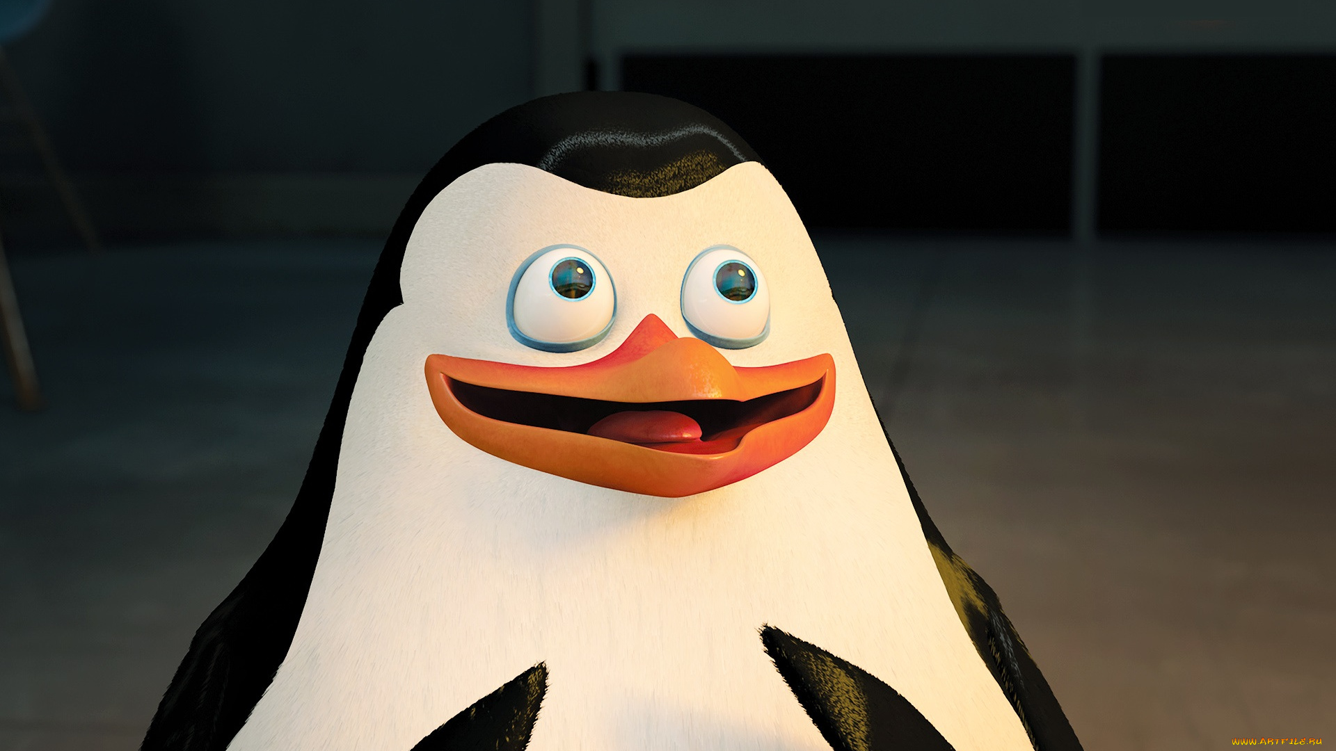 мультфильмы, the, penguins, of, madagascar, глаза, клюв, пингвин