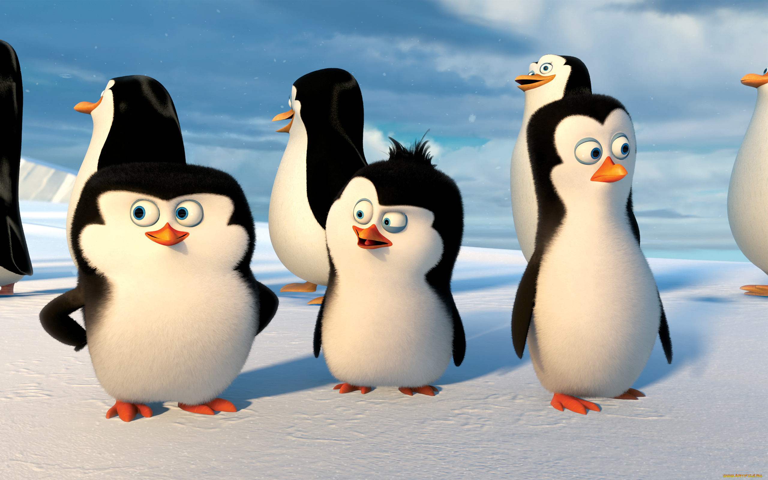мультфильмы, the, penguins, of, madagascar, глаза, пингвины, клюв