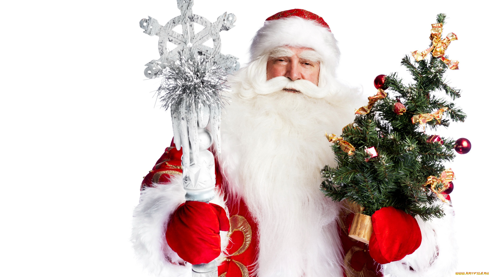 праздничные, дед, мороз, , санта, клаус, борода, шапка, санта-клаус, белый, фон, новый, год, дед, мороз, шуба, праздник, посох, варежки, ёлка, красная, игрушки, рождество