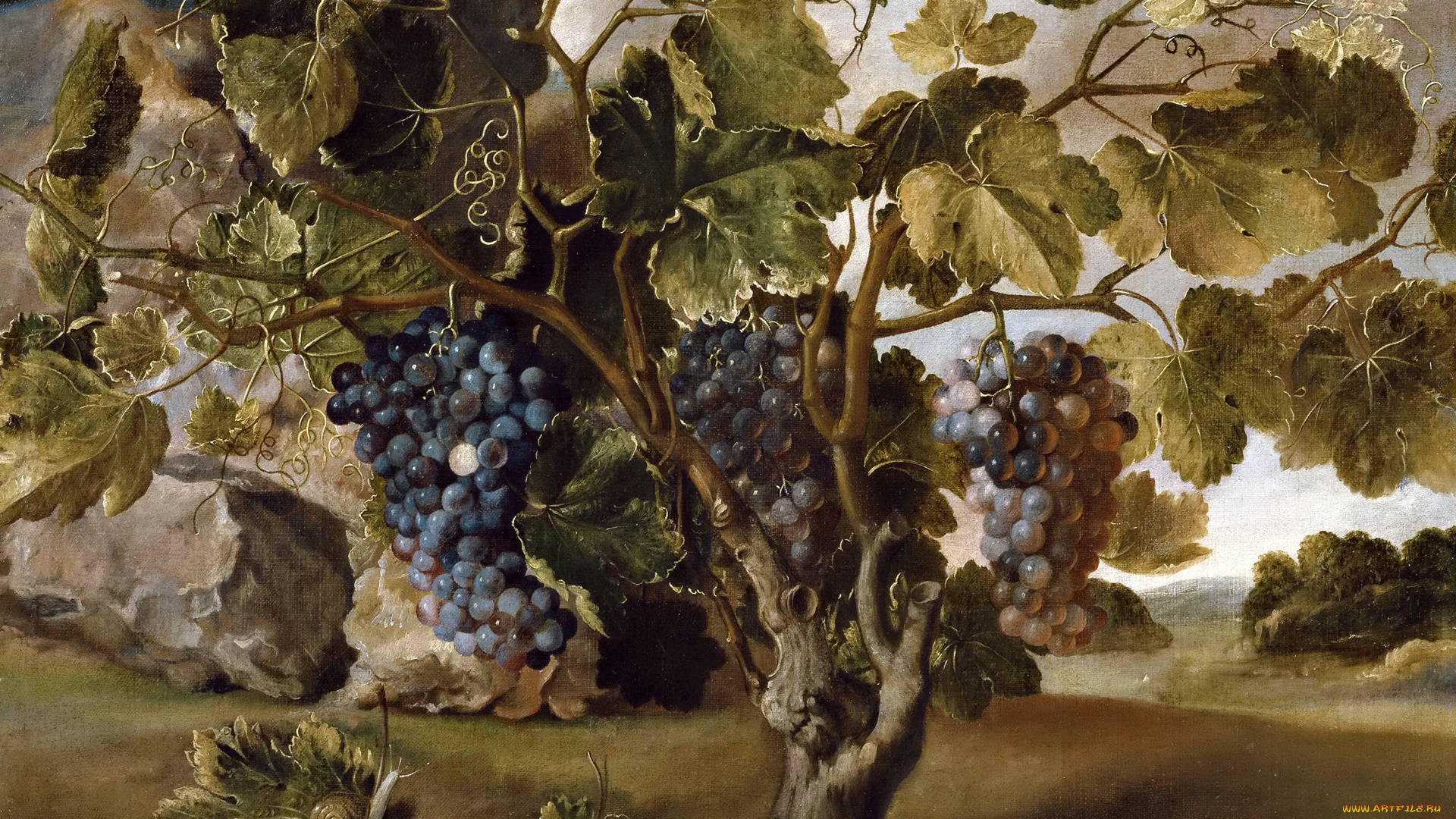 рисованное, живопись, картина, пейзаж, с, виноградной, лозой, ягоды, гроздь, томас, хепес