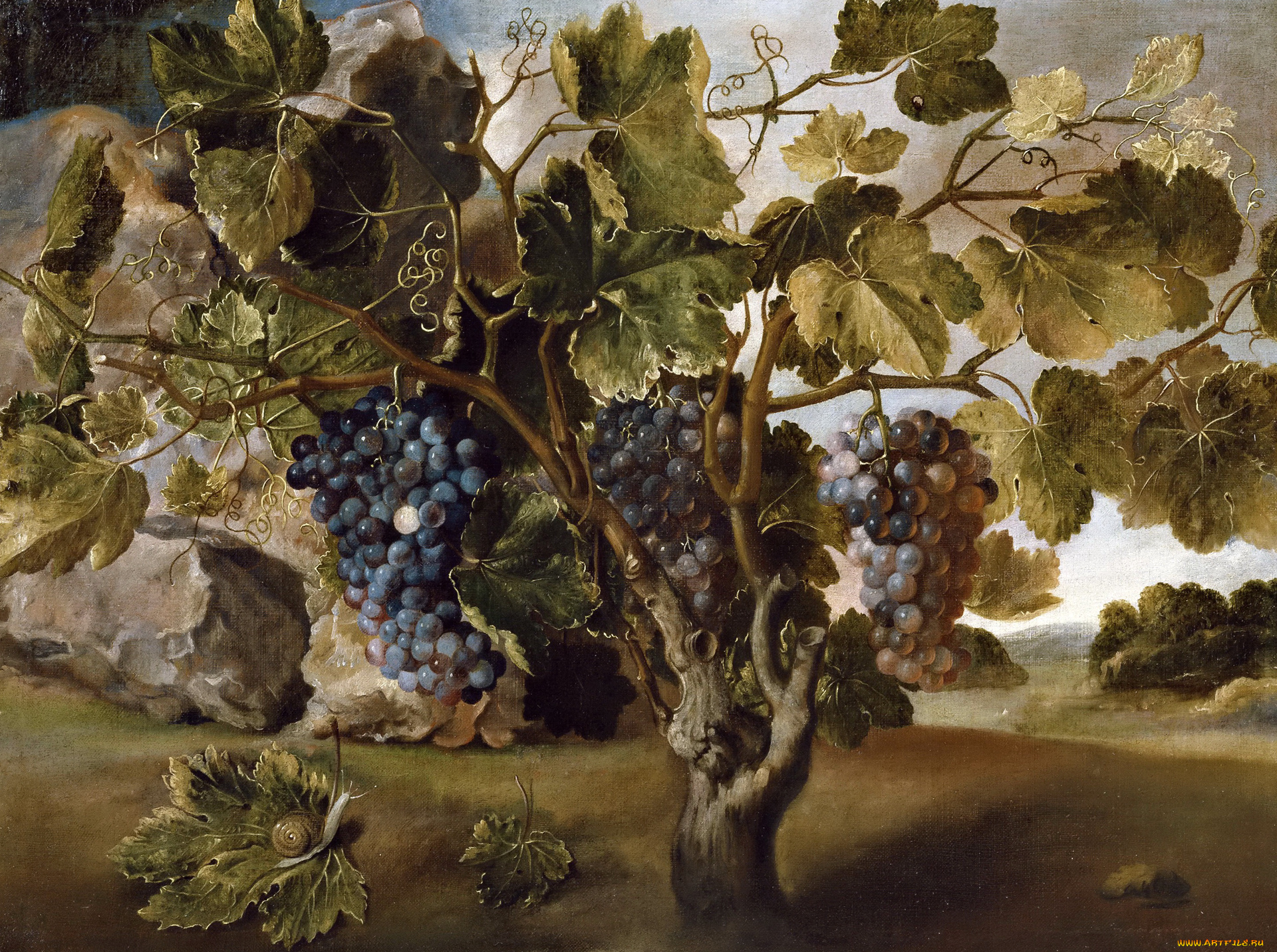 рисованное, живопись, картина, пейзаж, с, виноградной, лозой, ягоды, гроздь, томас, хепес