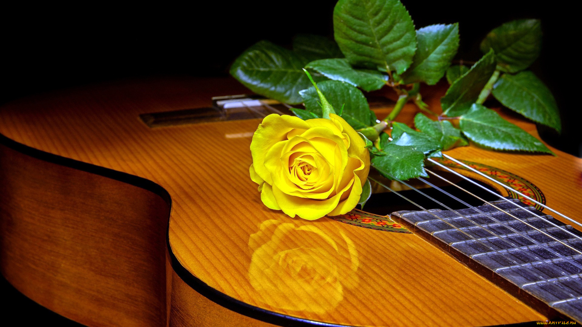 музыка, -музыкальные, инструменты, гитара, роза
