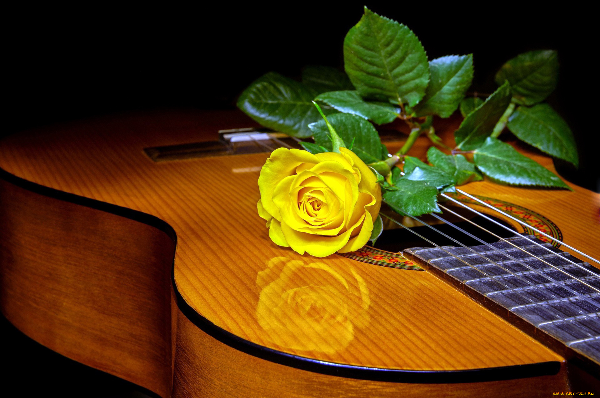 музыка, -музыкальные, инструменты, гитара, роза