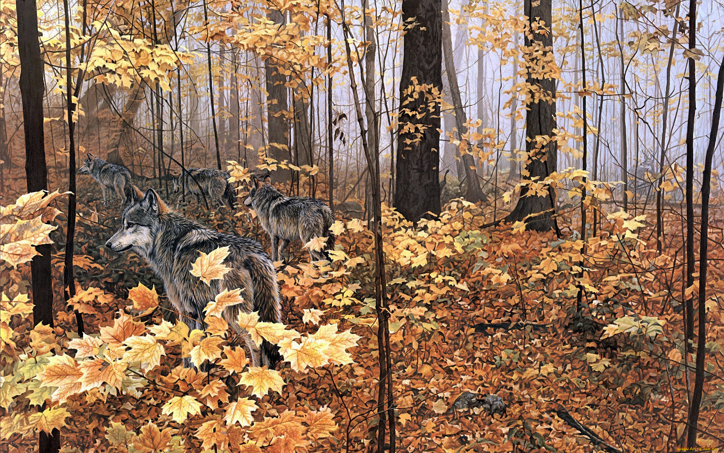 рисованное, животные, волки, стая, лес, осень, листва, хищники