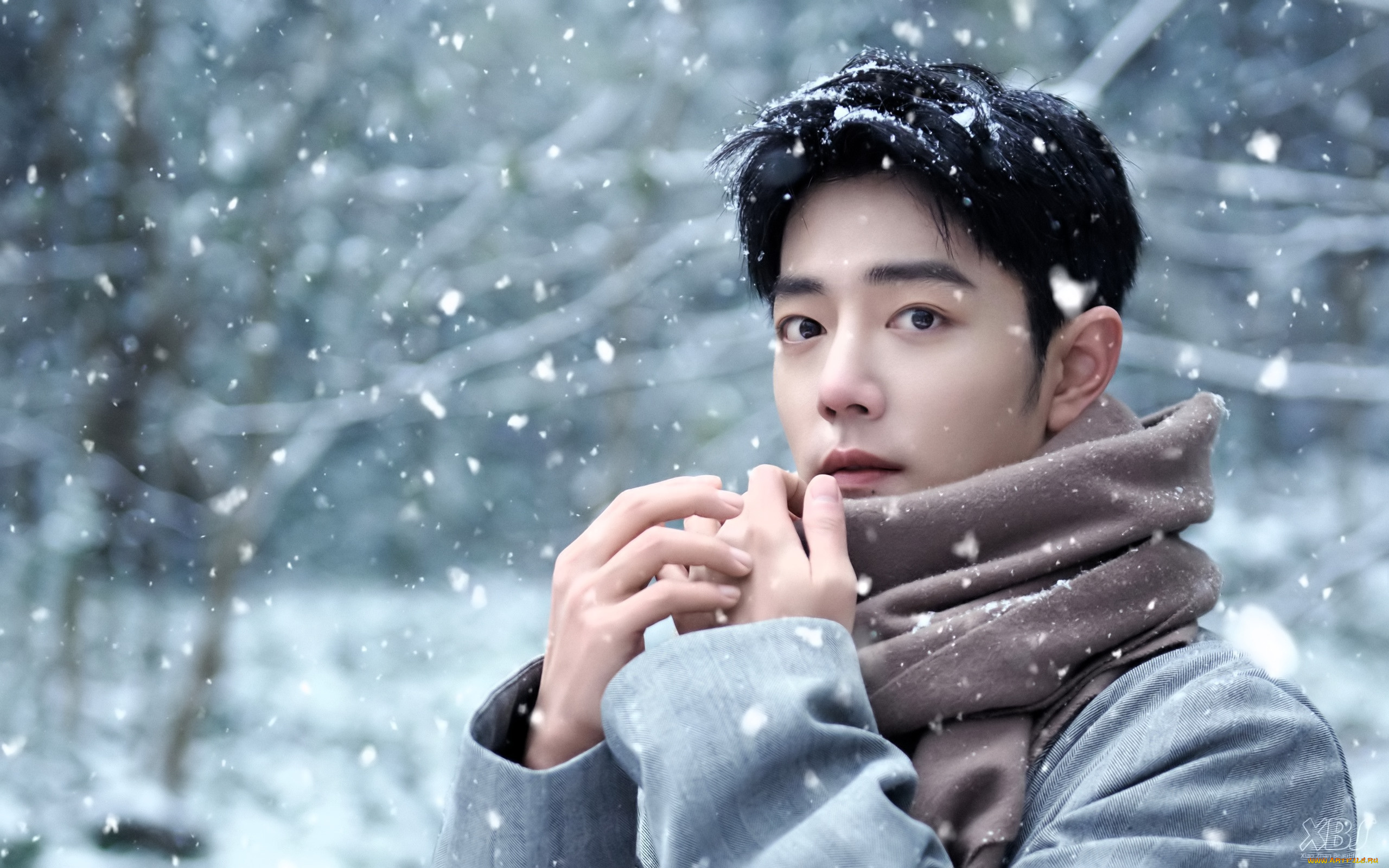 мужчины, xiao, zhan, актер, лицо, шарф, снег