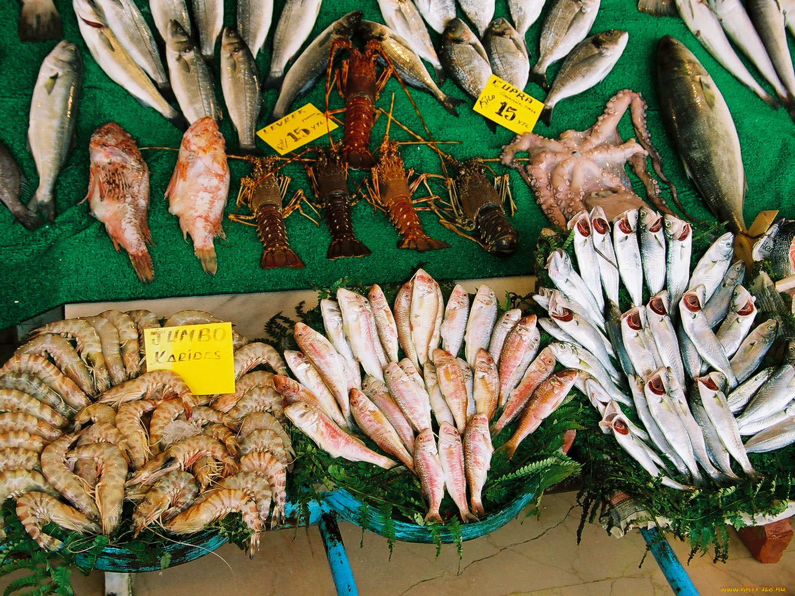 стамбул, еда, рыба, морепродукты, суши, роллы