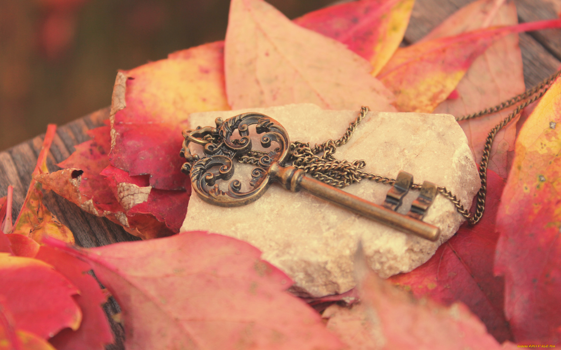 разное, ключи, замки, дверные, ручки, цепочка, камень, листья, ключ, осень