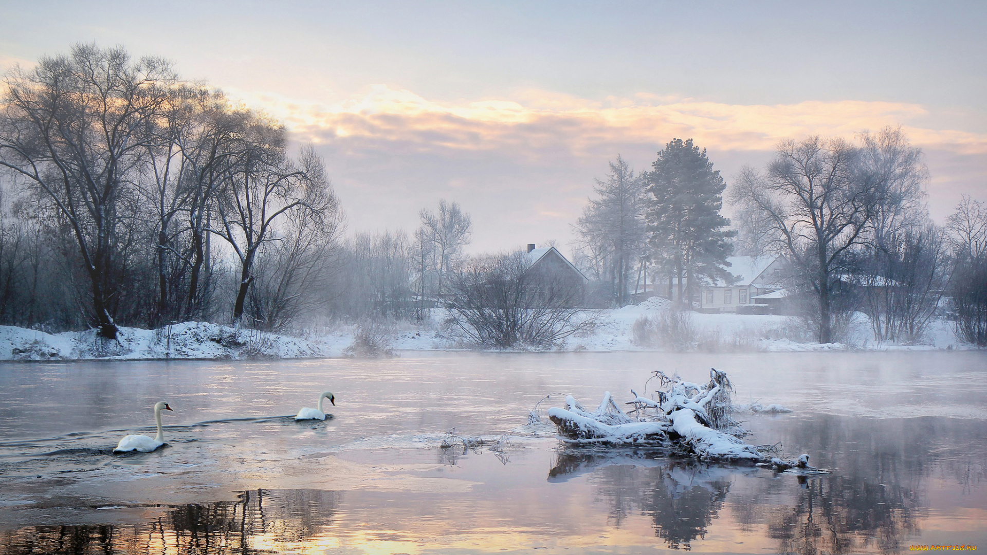 природа, зима, лебеди, озеро, деревья, дома, утро, холод