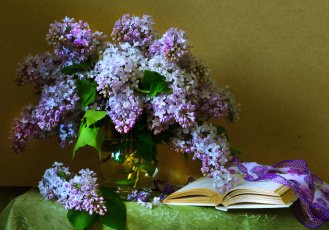 Картинка цветы сирень книга букет
