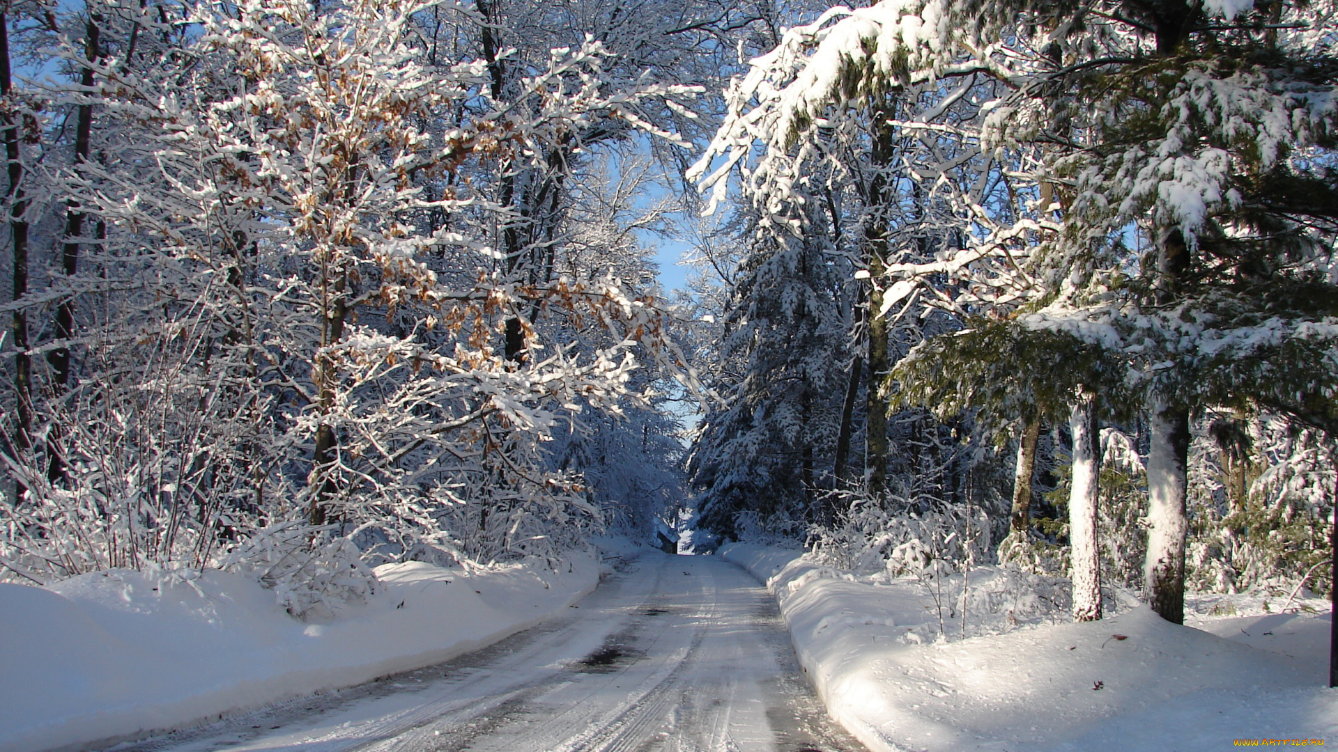 природа, дороги, сша, висконсин, дорога, зима, снег, мороз, лес