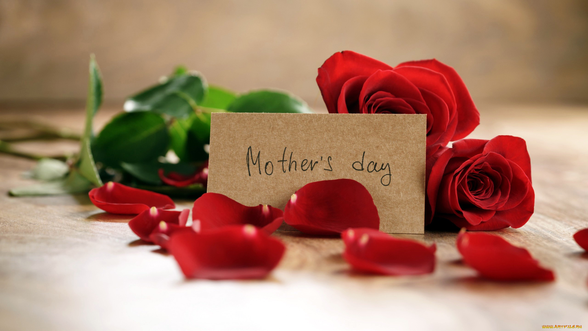 праздничные, день, матери, лепестки, розы, надпись