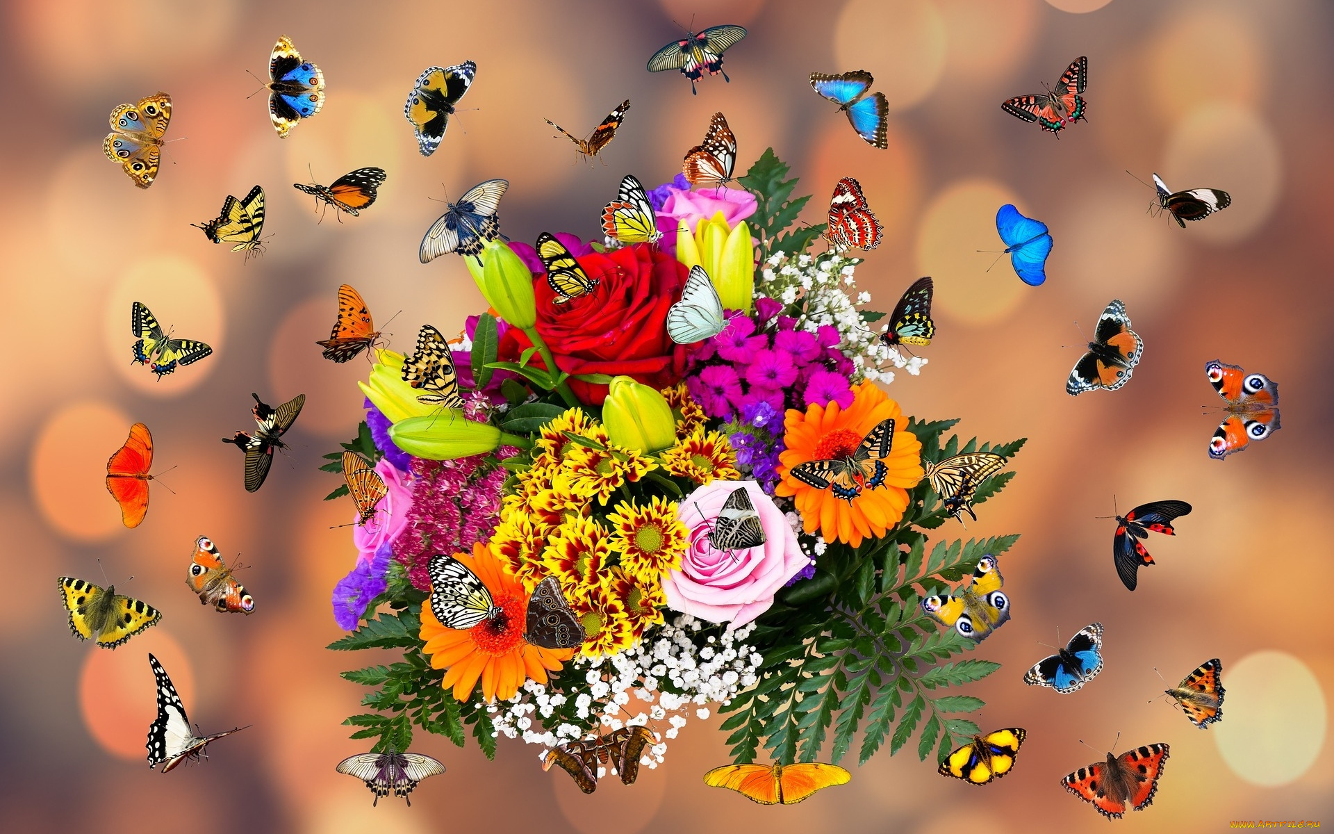 разное, компьютерный, дизайн, бабочки, цветы