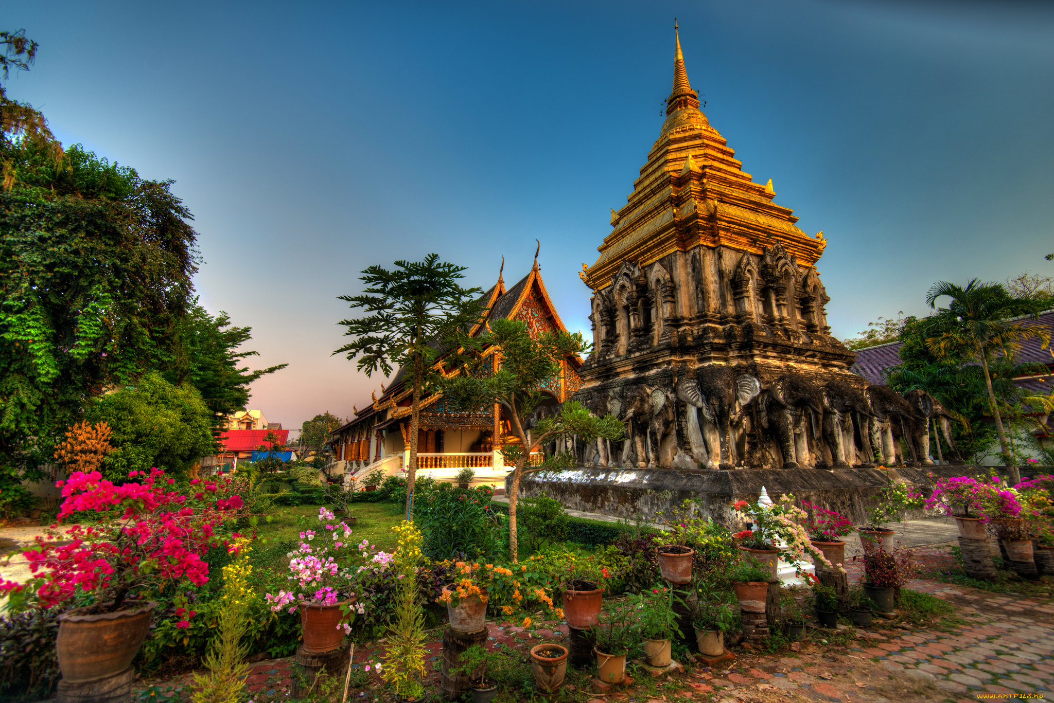 wat, chiang, man, mai, thailand, города, буддистские, другие, храмы, храм, ват, Чианг, ман, Чиангмай, тайланд, цветы