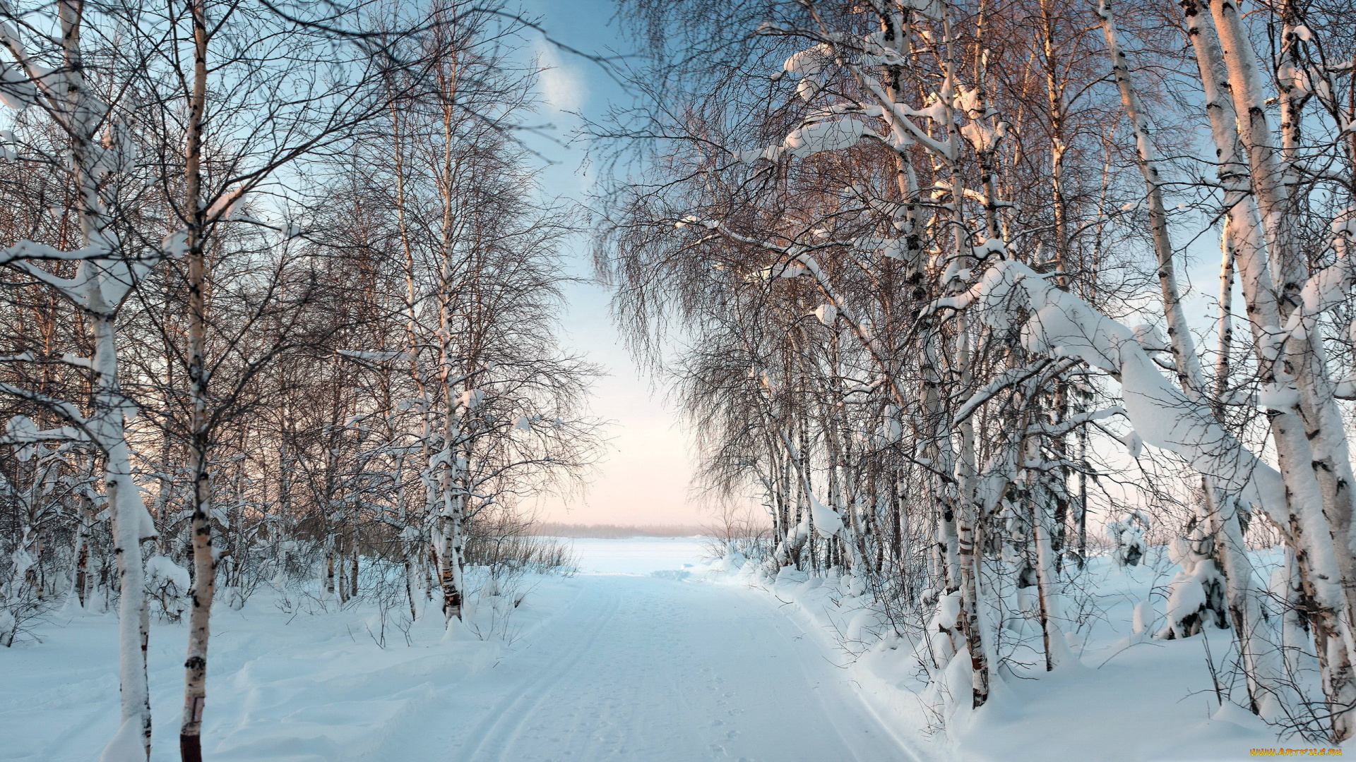 природа, зима, березы, снег, дорога