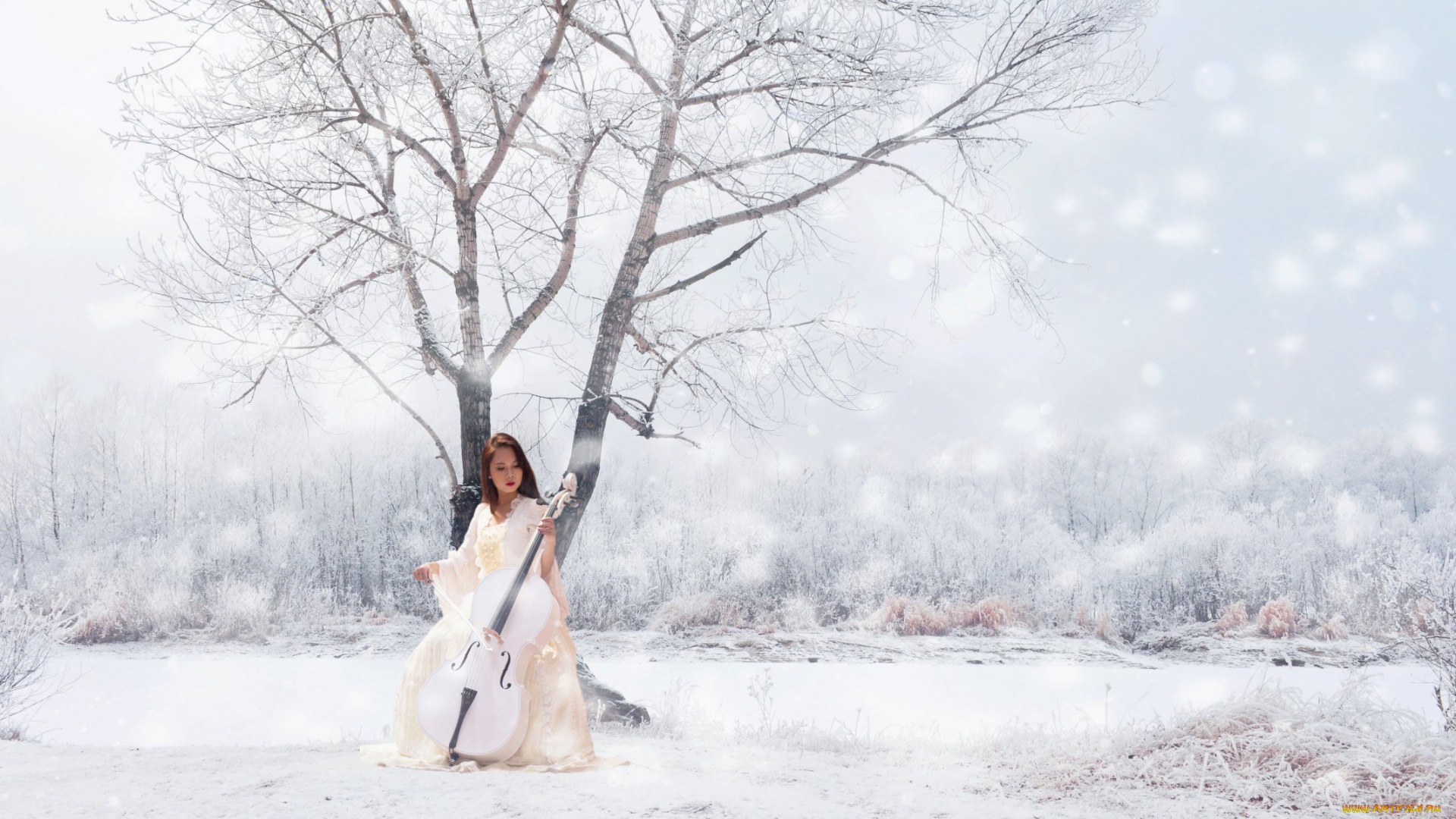 музыка, -другое, инструмент, девушка, природа, снег