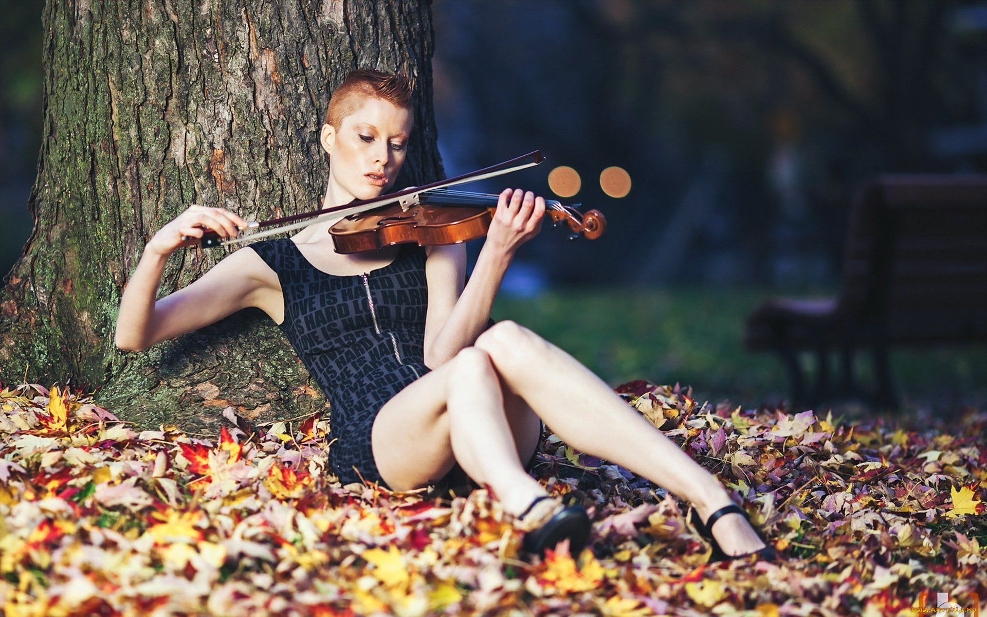 музыка, -другое, девушка, скрипка, листва, природа