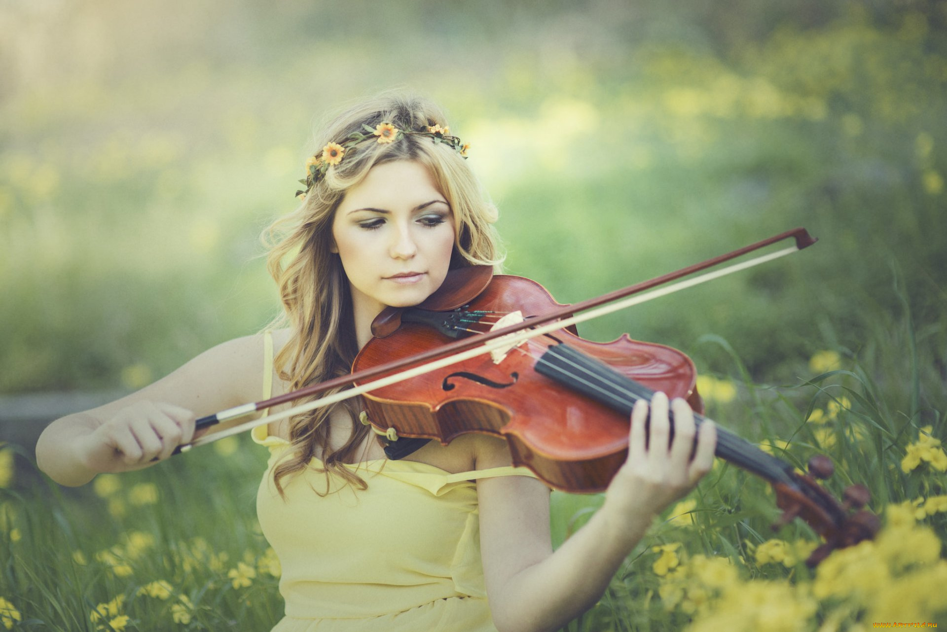 музыка, -другое, венок, скрипка, девушка, природа