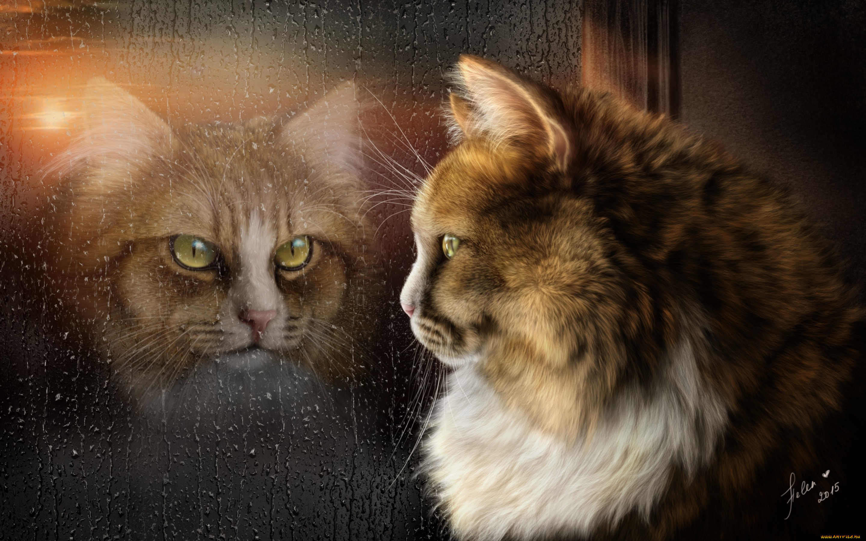 рисованное, животные, , коты, отражение, дождь, кот, настроение, окно