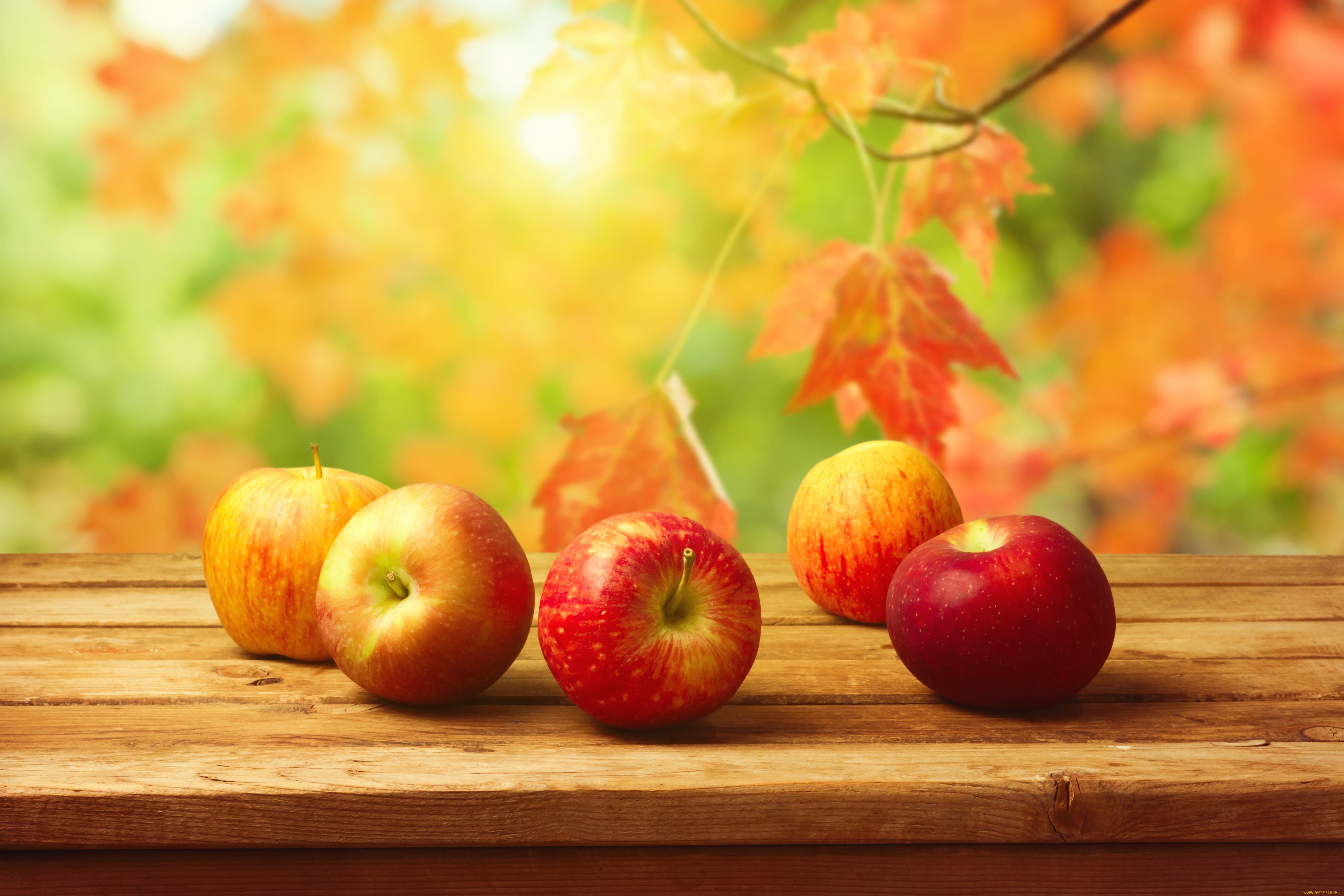 еда, Яблоки, листья, осень, урожай, стол, фрукты, фон