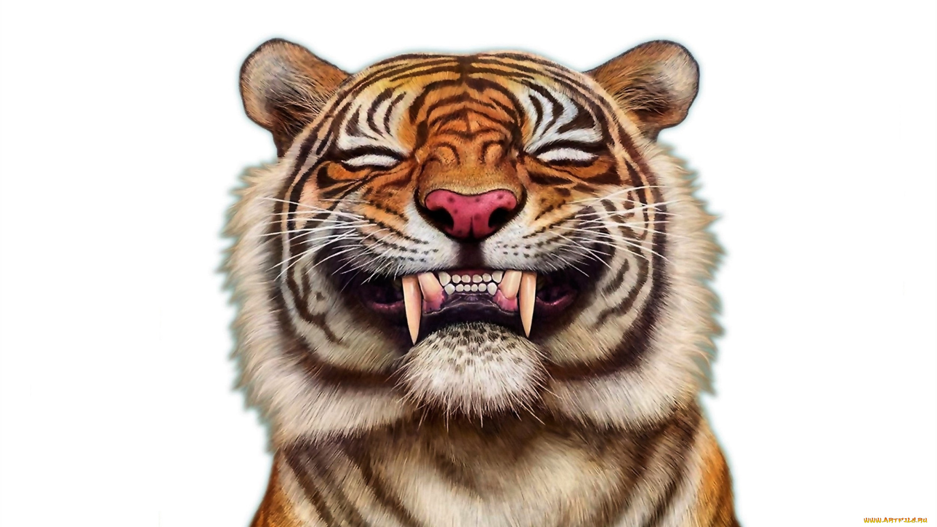 рисованное, животные, , тигры, тигр, клыки, улыбка